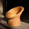 Stunning Basket Chair