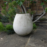 Egg Willy Guhl Planter