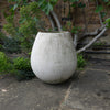 Egg Willy Guhl Planter