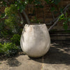 Egg Willy Guhl Planter