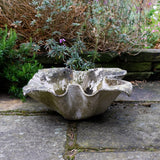 Willy Guhl Flower Concrete Planter 1