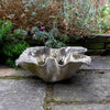 Willy Guhl Flower Concrete Planter 1