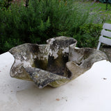 Willy Guhl Flower Concrete Planter 1