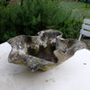 Willy Guhl Flower Concrete Planter 1