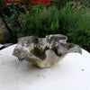 Willy Guhl Flower Concrete Planter 1