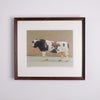 Collection of Bull Photographs